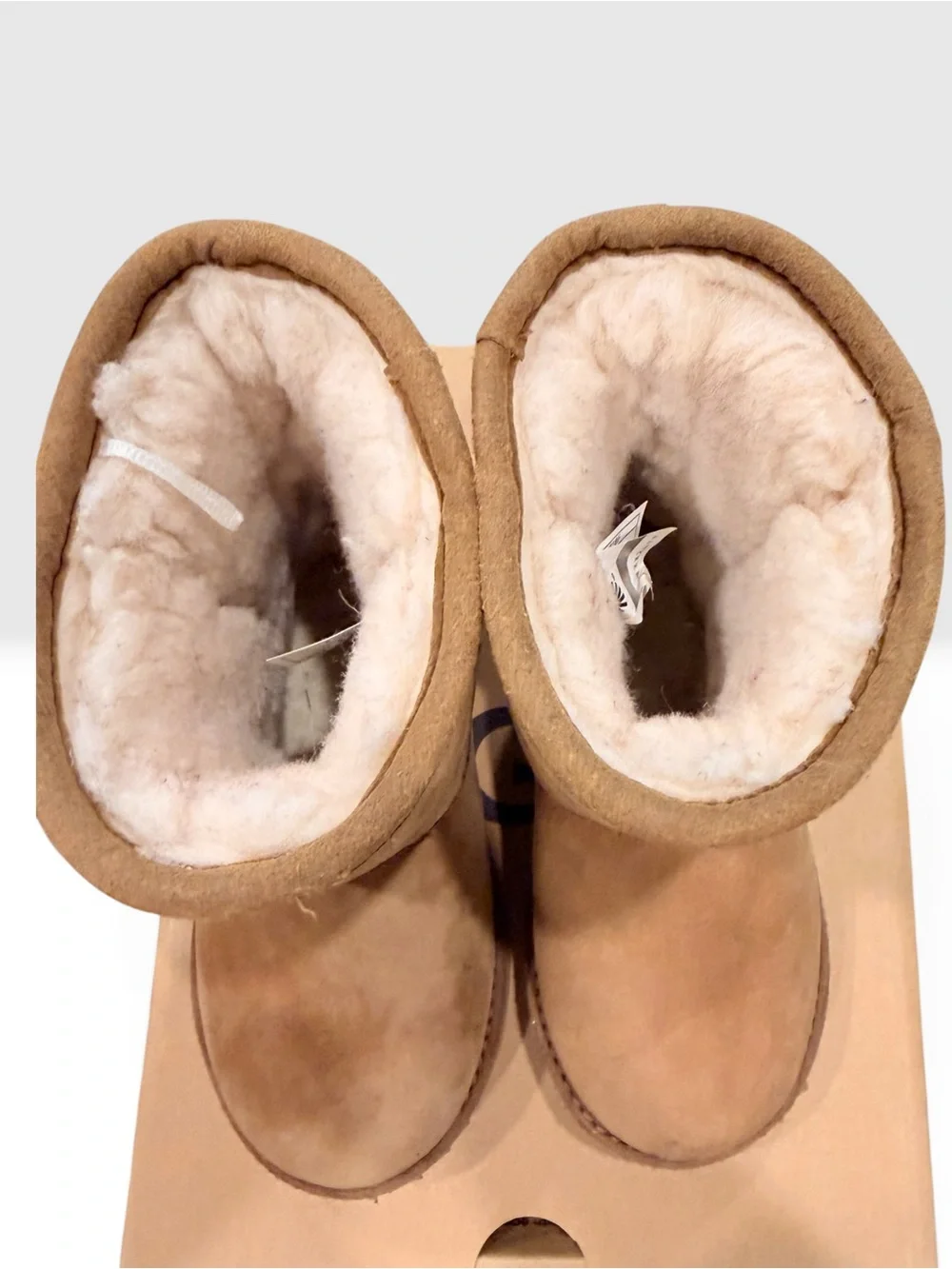 UGG T Classic short II WP